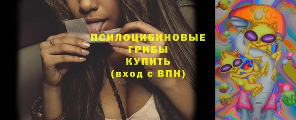 стафф Корсаков
