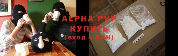 стафф Корсаков
