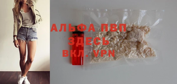 стафф Корсаков