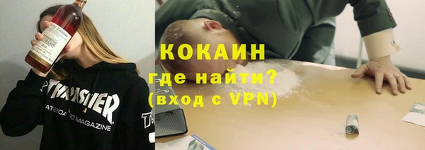стафф Корсаков