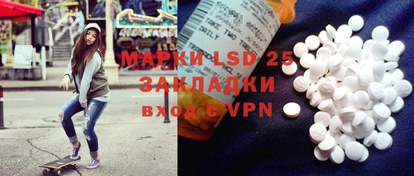 стафф Корсаков